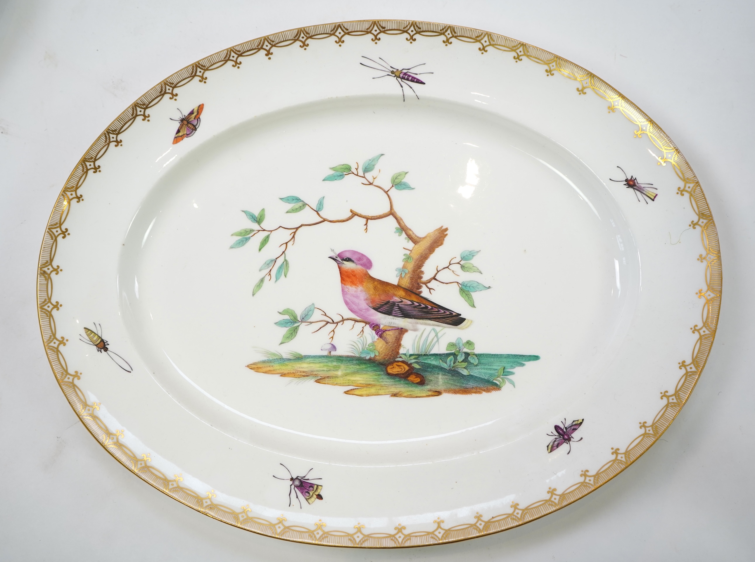 A Coalport bird painted part dinner service, mid 19th century